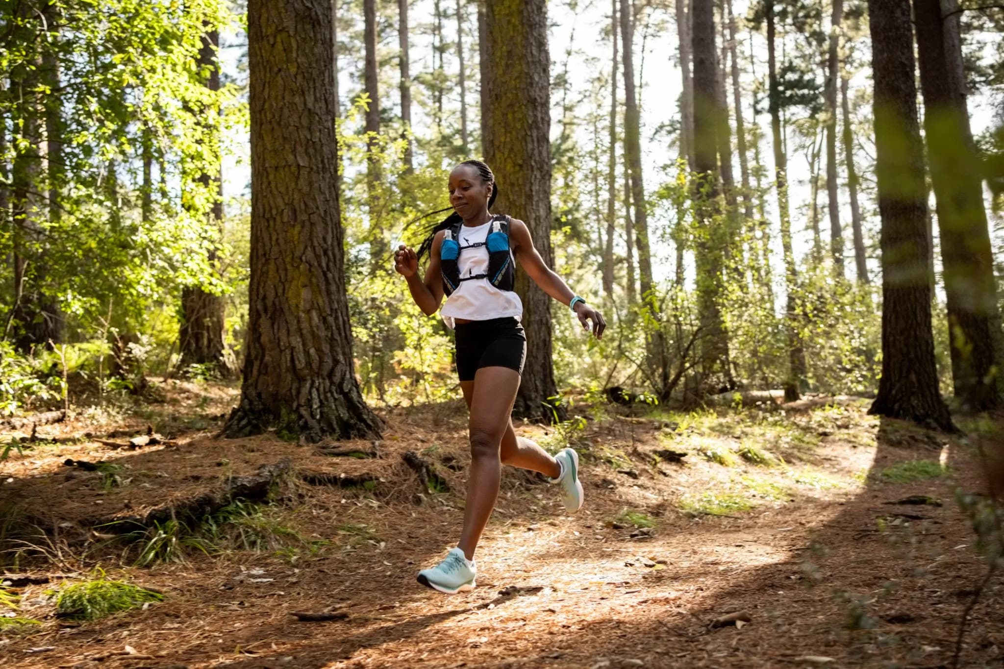 Original Image - Ridgebound Trail Diorama